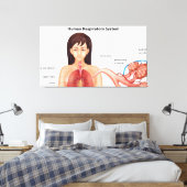 Toile Système respiratoire féminin (Insitu(Chambre))