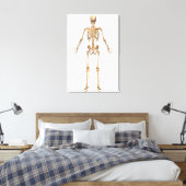 Toile Système Skeletal humain, Vue arrière (Insitu(Chambre))