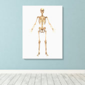 Toile Système Skeletal humain, Vue avant (Insitu (Plancher de Bois))