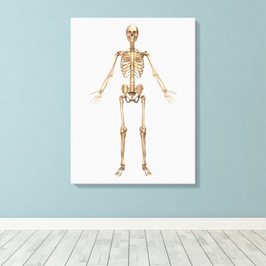 Toile Système Skeletal humain, Vue avant (Insitu (Plancher de Bois))