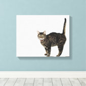 Toile Tabat mâle domestique debout (Insitu (Plancher de Bois))