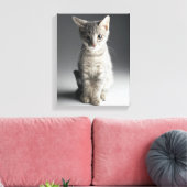 Toile Tabby bleu Kitten (Insitu(Salon))