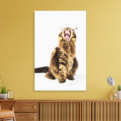 Toile Tabby Brown Classic Main Coon (Insitu(Salon))