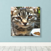 Toile Tabby Cat Kitten Faire contact visuel (Insitu (Plancher de Bois))