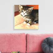 Toile Tabby Cat Kitten Portrait pour animaux (Insitu(Salon))