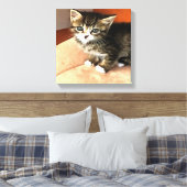 Toile Tabby Cat Kitten Portrait pour animaux (Insitu(Chambre))