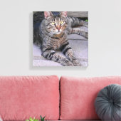 Toile Tabby Chat Brown à l'extérieur (Insitu(Salon))