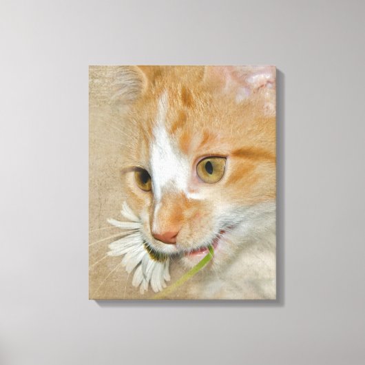 Toile Tabby chaton avec marguerite (Recto)
