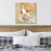 Toile Tabby chaton avec marguerite (Insitu(Chambre))