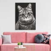 Toile Tabby noir Kitten (Insitu(Salon))