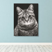Toile Tabby noir Kitten (Insitu (Plancher de Bois))