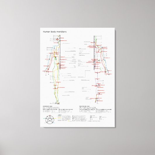 Toile Tableau schématique des méridiens du corps humain (Recto)