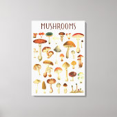 Toile Tableau vintage de champignons (Recto)