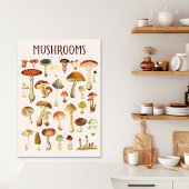 Toile Tableau vintage de champignons