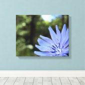 Toile Tableaux Chicorés (Insitu (Plancher de Bois))