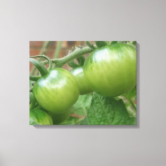 Toile Tableaux de tomates vertes (Recto)