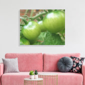 Toile Tableaux de tomates vertes (Insitu(Salon))
