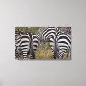 Toile Tableaux Zebra Buttes (Recto)