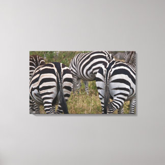 Toile Tableaux Zebra Buttes