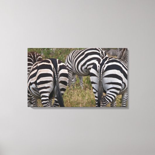 Toile Tableaux Zebra Buttes (Recto)
