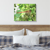 Toile Tablette de libellule commune (Insitu(Chambre))