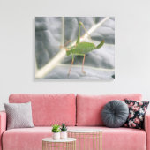 Toile Tablette Macro Cricket Vert Imprimer (Insitu(Salon))