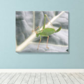 Toile Tablette Macro Cricket Vert Imprimer (Insitu (Plancher de Bois))
