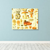 Toile Tabouret de toilette Vintage de champignons Illust (Insitu (Plancher de Bois))