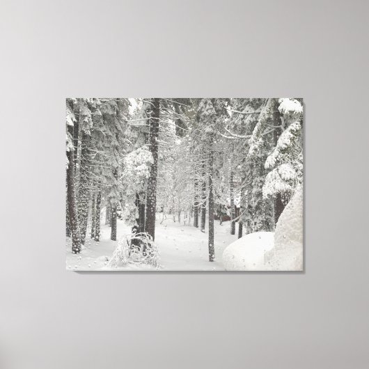 Toile Tahoe Winter Wonderland (Recto)