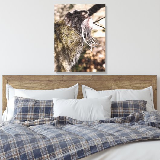 TOILE TAMARIN MONKEY (Insitu(Chambre))