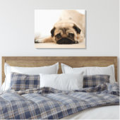 Toile Tan Female (Insitu(Chambre))
