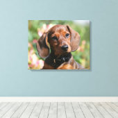 Toile Tan Miniture Dachshund (Insitu (Plancher de Bois))