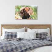 Toile Tan Miniture Dachshund (Insitu(Chambre))