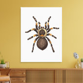 Toile Tarantule (Insitu(Salon))