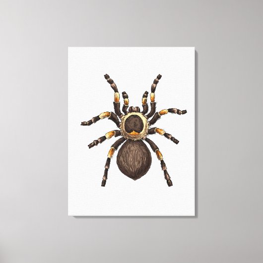 Toile Tarantule (Recto)