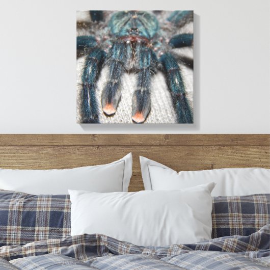Toile tarantule bleue (Insitu(Chambre))
