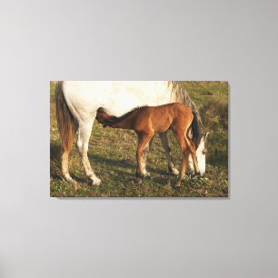 Toile Tarifa, Cadix, Andalousie, Espagne