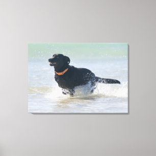 Toile Tarifa, Cadix, Espagne 2