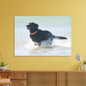 Toile Tarifa, cadix, espagne 2 (Insitu(Salon))