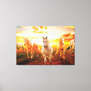 Toile Tasse de cheval au coucher du soleil