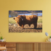 Toile Taureau Highland Cattle, Écosse (Insitu(Salon))
