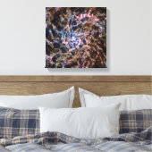 Toile Télescope spatial James Webb Galaxie spirale IC 53 (Insitu(Chambre))