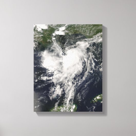 Toile Tempête tropicale Edouard (Recto)