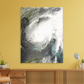 Toile Tempête tropicale Fay (Insitu(Salon))