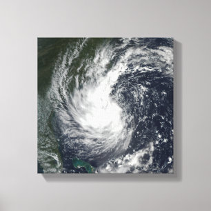 Toile Tempête tropicale Gustav 2