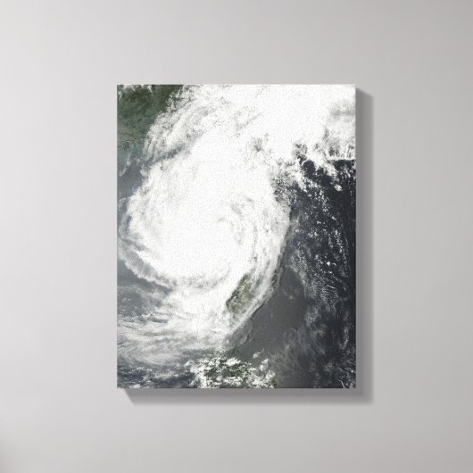 Toile Tempête tropicale Parm (Recto)