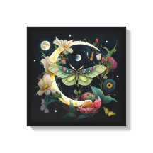 Toile tendue -  Papillon de nuit