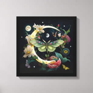 Toile tendue -  Papillon de nuit