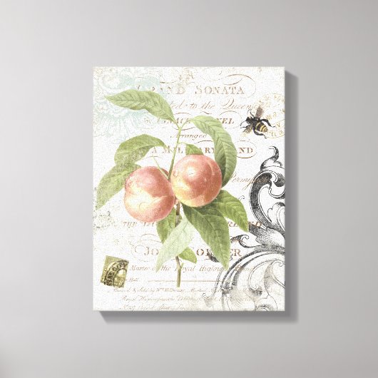 Toile tendue vintage de Pêche Botanique (Recto)