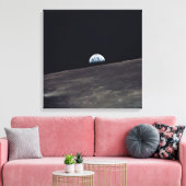 Toile Terre (Insitu(Salon))